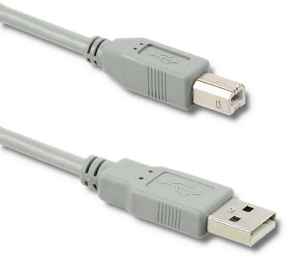 Qoltec KABEL USB 2.0 AM BM | 1M 50395 Zamów do 16:00 wysyłka kurierem tego samego dnia! 50395