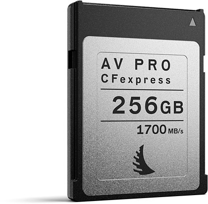 56GB AV Pro (AVP256CFX)