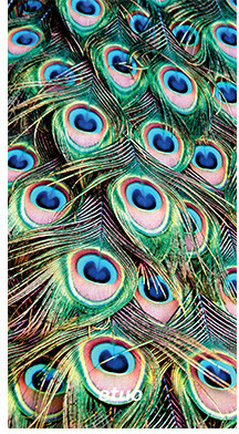 Etuo.pl Soft Flex Design Etui na telefon Soft Flex Design - Kolekcja Animal Pattern - Pawie oko - zielony OKAZSFDGGREANP012