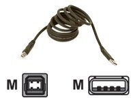 Belkin USB Kabel A-B 1.8m BULK (F3U133B06)
