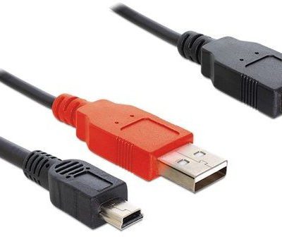 Delock Kabel USB Mini BM-2xUSB AM 30cm AKDEKKU00000038