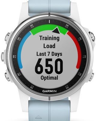Garmin Fenix 5S Plus niebiesko-srebrny