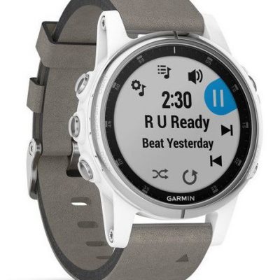 Garmin Fenix 5S Szary (010-01987-05)