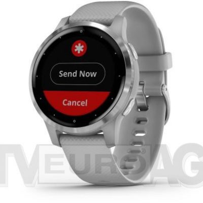 Garmin Vívoactive 4S szaro-srebrny (010-02172-03)