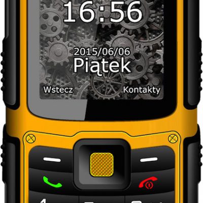 myPhone Hammer 2 Żółto-czarny