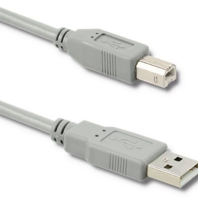 Qoltec KABEL USB 2.0 AM BM | 0.19M 50393 Zamów do 16:00 wysyłka kurierem tego samego dnia! 50393