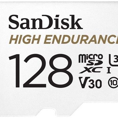SanDisk High Endurance 8GB