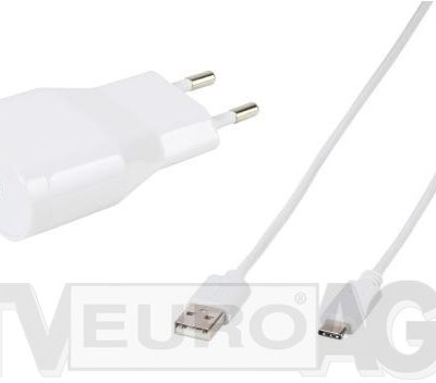 Vivanco ładowarka USB 2.4A biały + kabel USB-C 60029